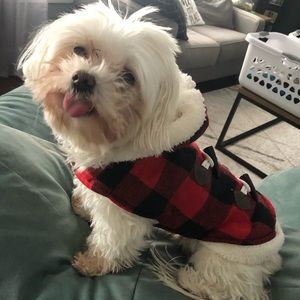 Meet your Posher, Kelcy